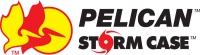 Pelican Storm Cases